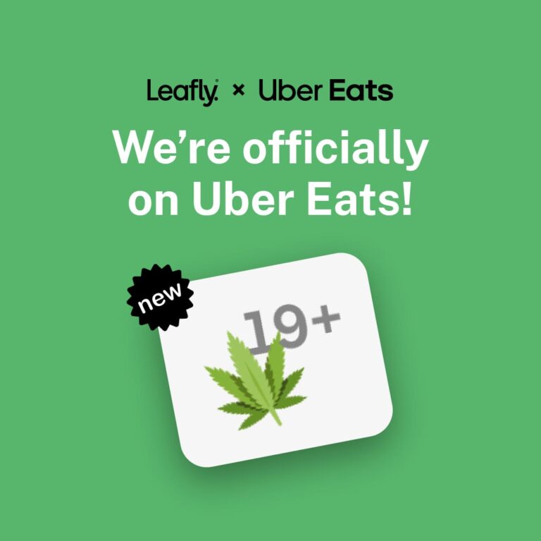 WhatsApp Image 2025-12-18 at 8.08.55 PM